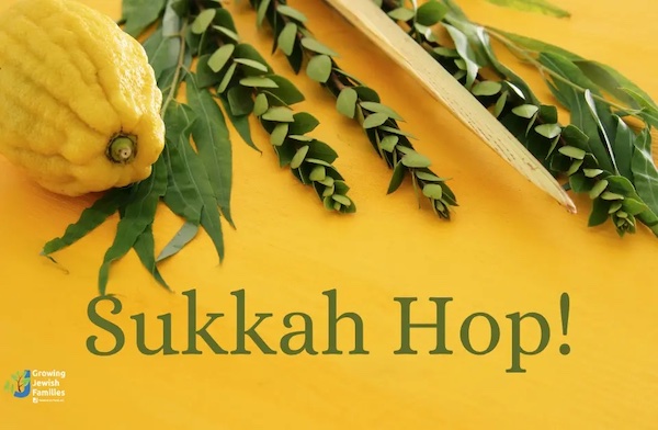 sukkah-hop-button